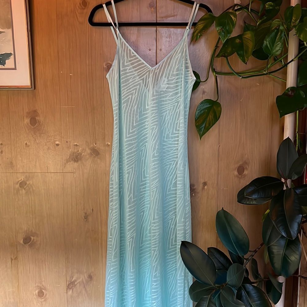 Jones New York slinky sheer maxi dress